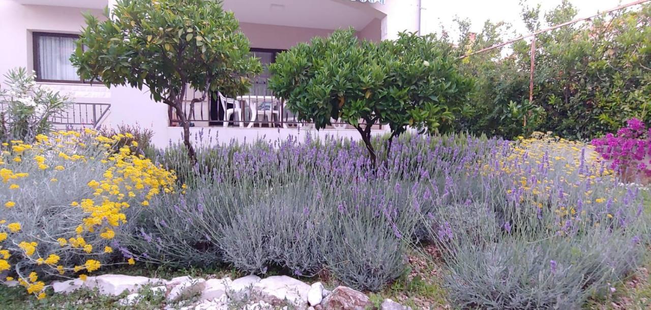 Ruzmarin Holiday home *